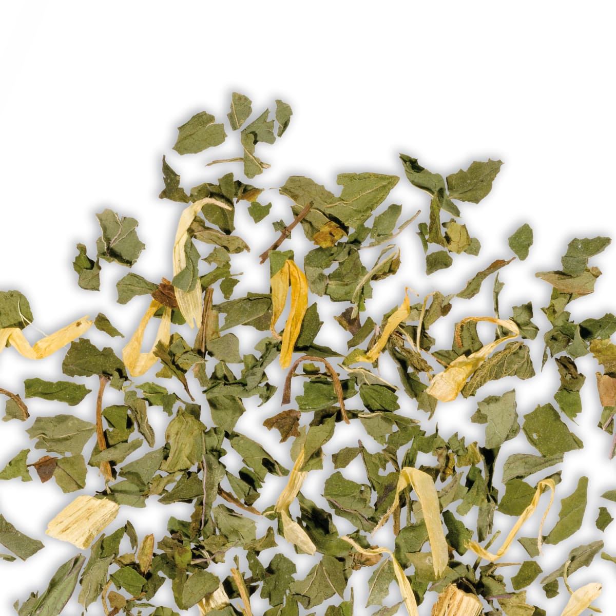 Smooth Mint – Bild 3
