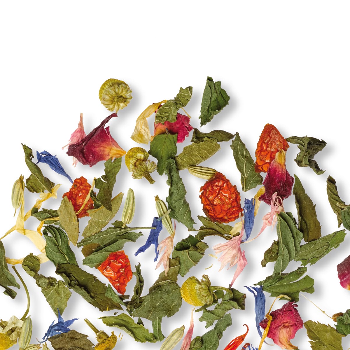 Classic Herbs – Bild 3