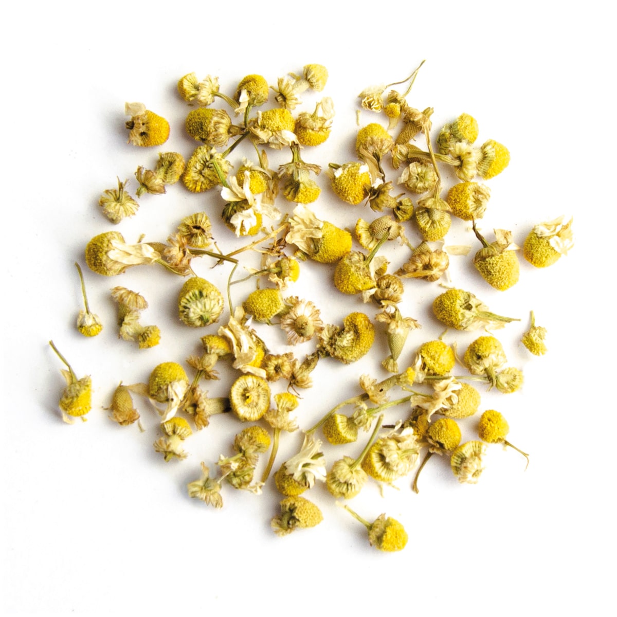 Chamomile Meadow - Lose gelbe Kamillenblüten im Kreis angeordnet