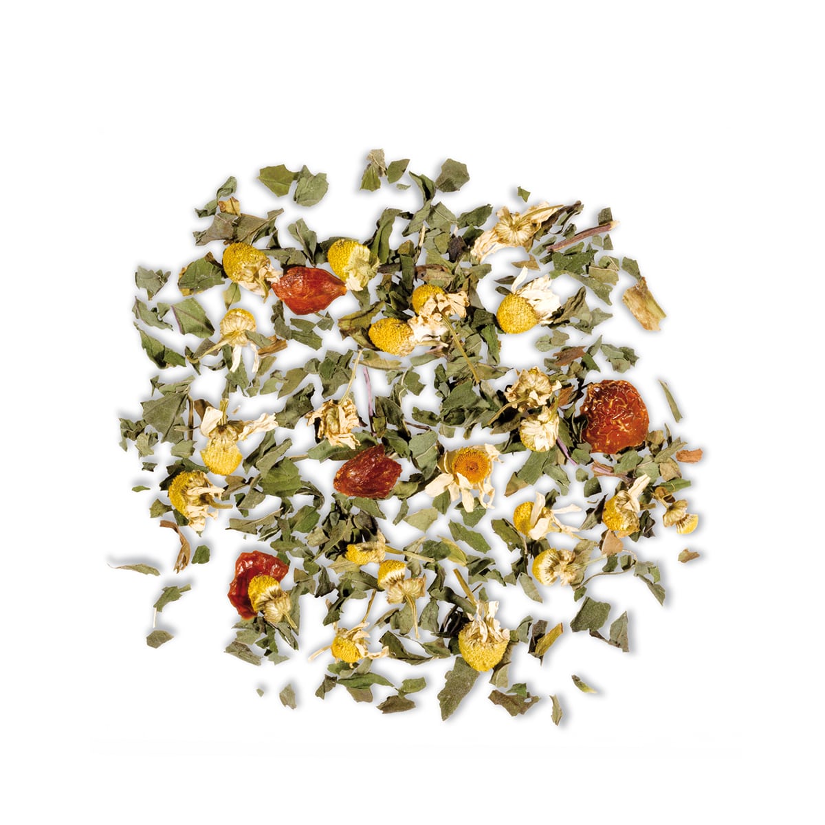 Fancy Chamomile