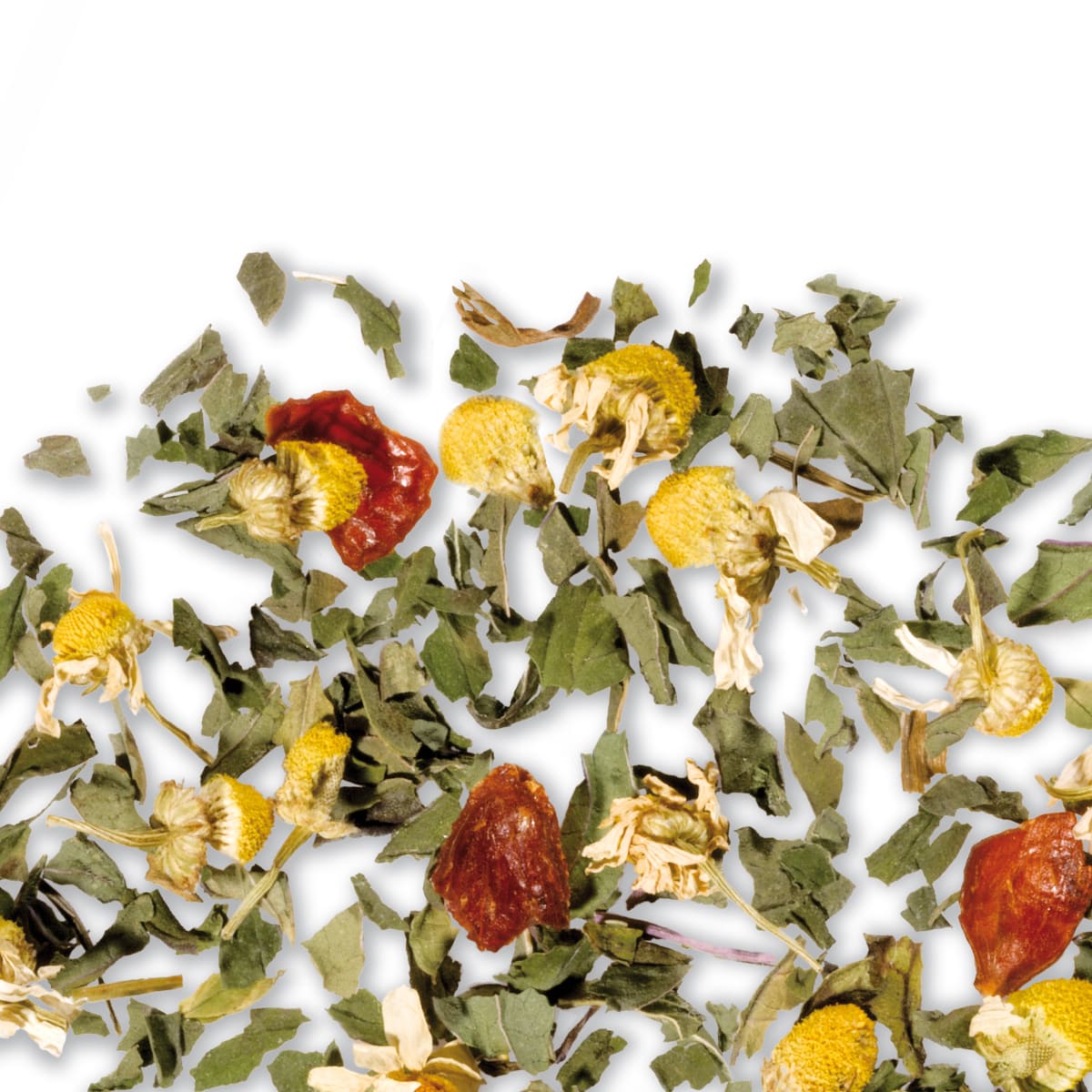 Fancy Chamomile