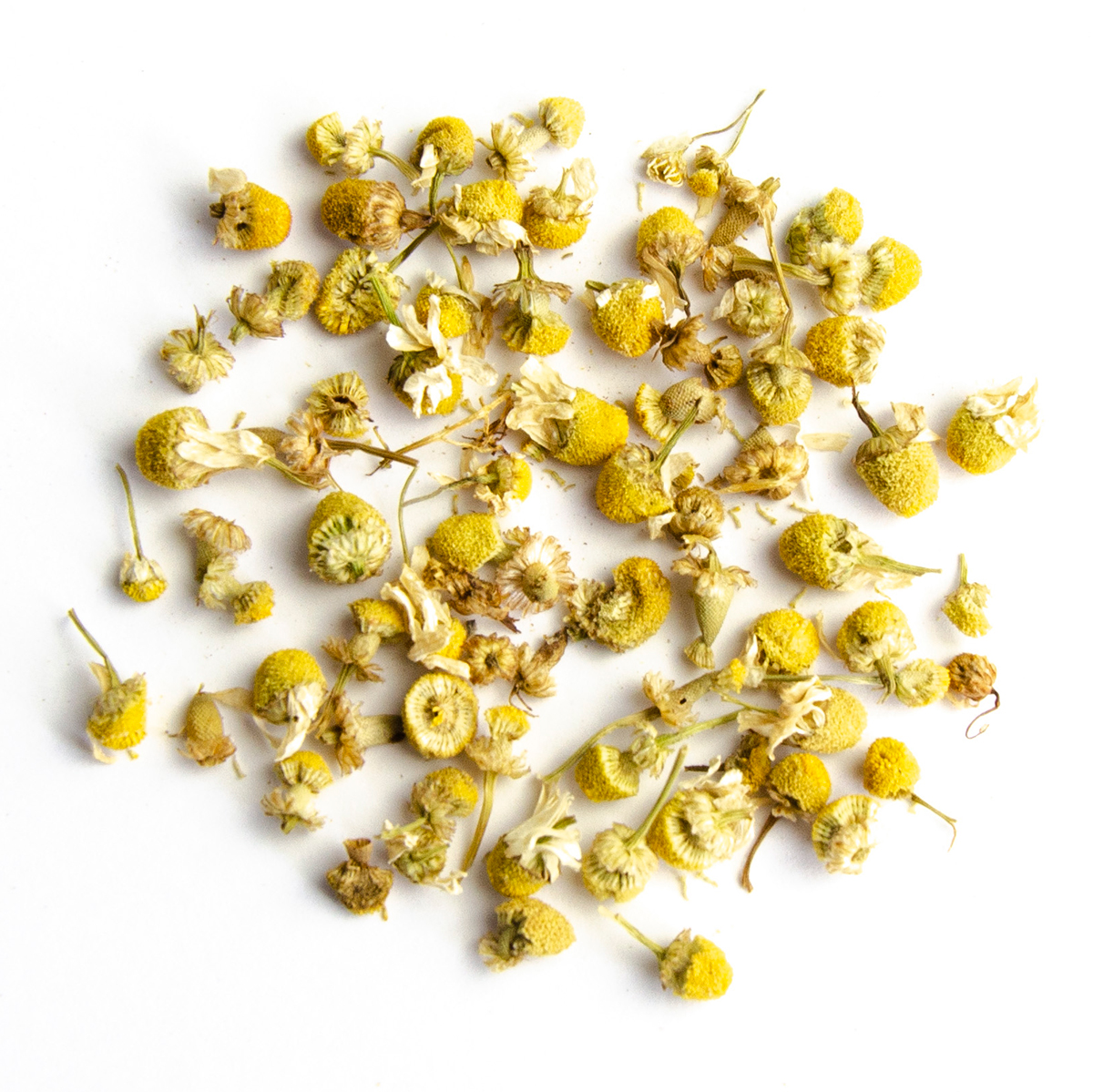 Chamomile Meadow