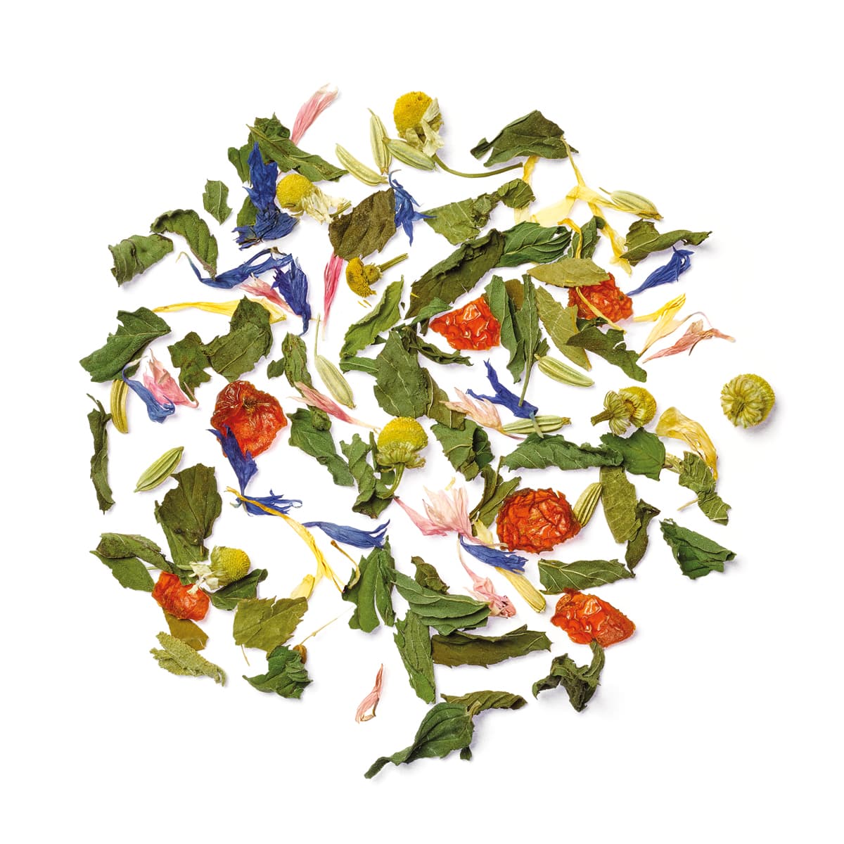 Classic Herbs - Lose bunte Kräuterteemischung im Kreis angeordnet